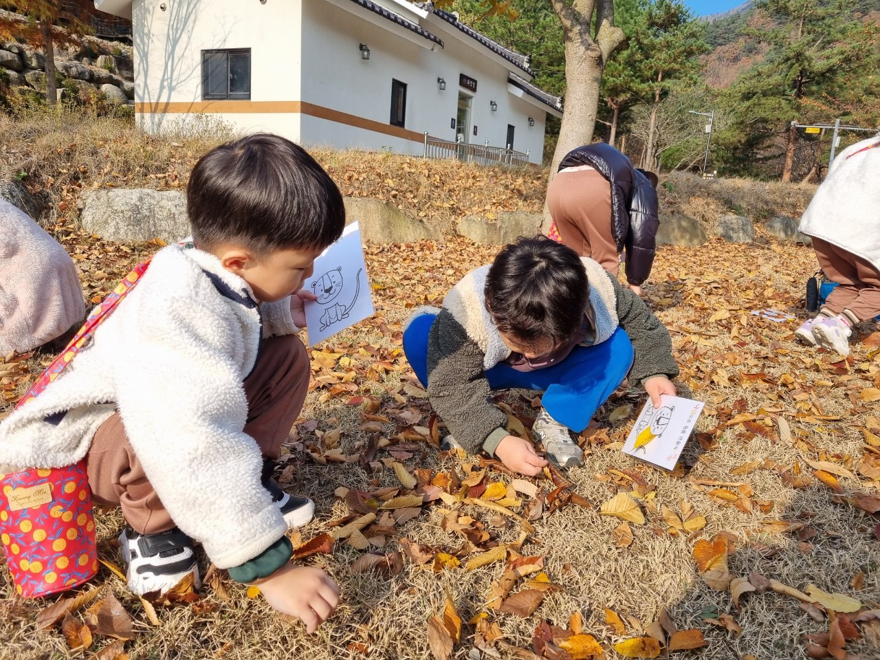 2024 숲해설 선생님과 함께하는 숲체험-치유의 숲 사진